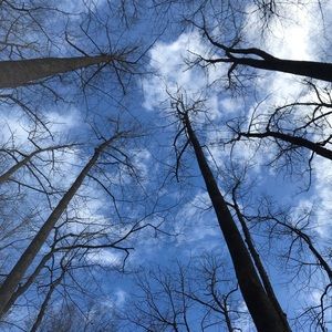 Meet your Posher, Rose